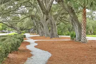 6064 Grand Council St, Charleston, SC 29492 - Photo 41