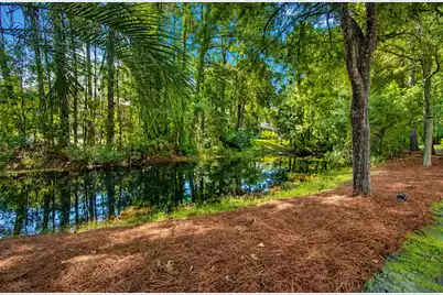 2597 John Boone Court, Mount Pleasant, SC 29466 - Photo 57