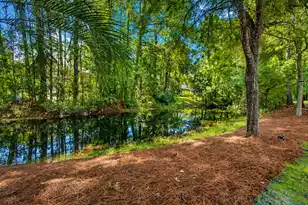 2597 John Boone Ct, Mount Pleasant, SC 29466 - Photo 57