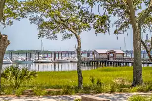 1513 Willtown St, Charleston, SC 29492 - Photo 73