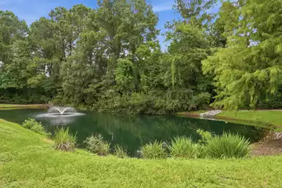 1213 Rosewood Lane, Mount Pleasant, SC 29464 - Photo 41