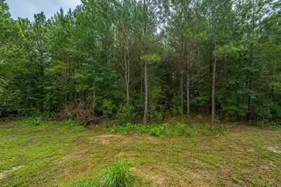 1064 Van Dyke Road, Cottageville, SC 29435 - Photo 7