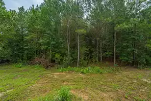 1064 Van Dyke Rd, Cottageville, SC 29435 - Photo 7