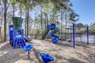 3031 Fraserburgh Way, Mount Pleasant, SC 29466 - Photo 55
