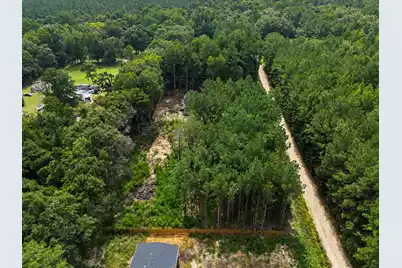 0 Firethorn Court, Eutawville, SC 29048 - Photo 3