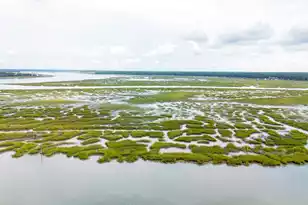 108 Factory Crk Ct, Beaufort, SC 29907 - Photo 67