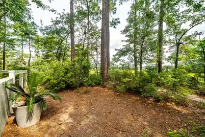 47 Robert Mills Circle, Mount Pleasant, SC 29464 - Photo 127