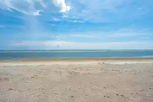3013 Marshall Blvd, Sullivans Island, SC 29482 - Photo 11