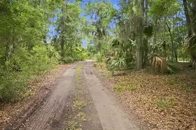 8557 Palmetto Road, Edisto Island, SC 29438 - Photo 75