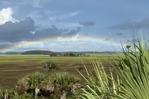 280 Captain Goddard Rd, Daniel Island, SC 29492 - Photo 85