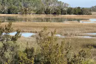 280 Captain Goddard Rd, Daniel Island, SC 29492 - Photo 79