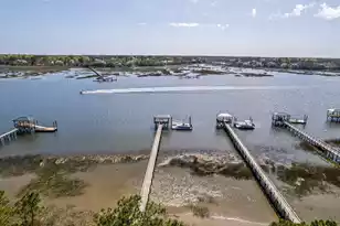 1505 Deep Creek Overlook E, Mount Pleasant, SC 29429 - Photo 3