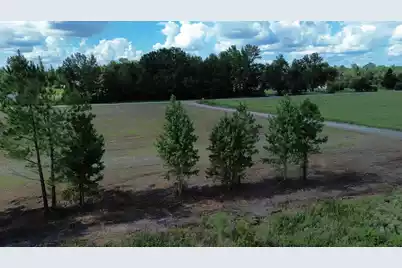 1 Bethel Forest Road, Rowesville, SC 29133 - Photo 15