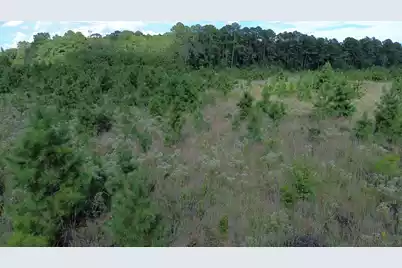 1 Bethel Forest Road, Rowesville, SC 29133 - Photo 19