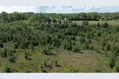 1 Bethel Forest Road, Rowesville, SC 29133 - Photo 5