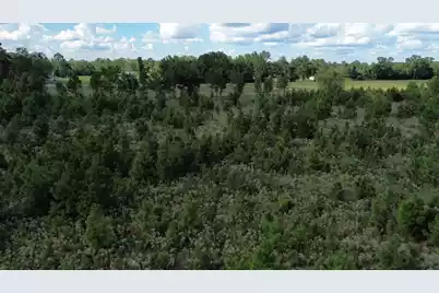 1 Bethel Forest Road, Rowesville, SC 29133 - Photo 21