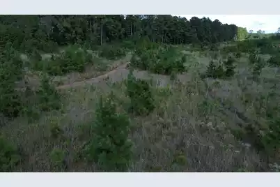 1 Bethel Forest Road, Rowesville, SC 29133 - Photo 23
