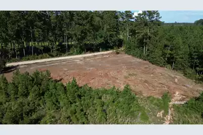 3 Bethel Forest Road, Rowesville, SC 29133 - Photo 29