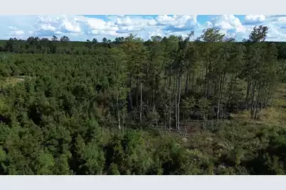 3 Bethel Forest Road, Rowesville, SC 29133 - Photo 13