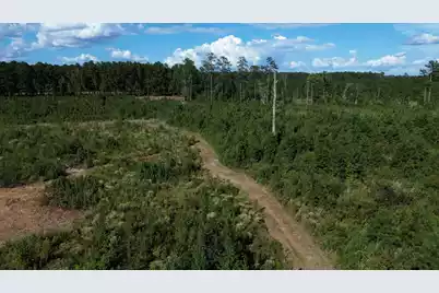 3 Bethel Forest Road, Rowesville, SC 29133 - Photo 17