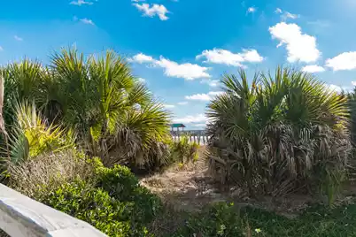 115 Arctic Avenue E #1B, Folly Beach, SC 29439 - Photo 33