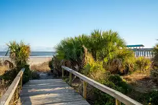 115 Arctic Ave E, Folly Beach, SC 29439 - Photo 31