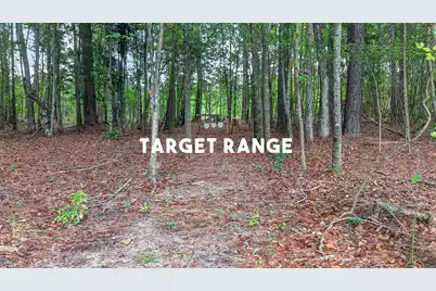 1331 Brewington Road N, Manning, SC 29102 - Photo 55