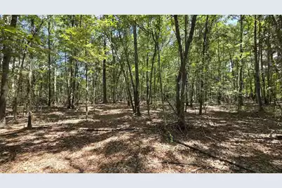 1331 Brewington Road N, Manning, SC 29102 - Photo 61