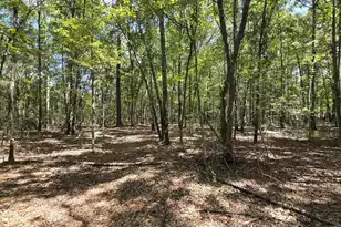 1331 Brewington Road N, Manning, SC 29102 - Photo 61
