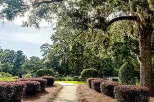 175 Donning Dr, Summerville, SC 29483 - Photo 83