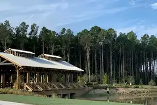 1079 Razor Clam Way, Summerville, SC 29485 - Photo 23