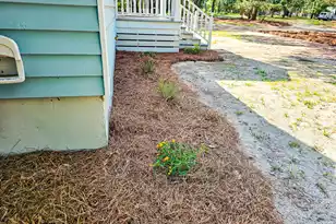 8780 Palmetto Rd, Edisto Island, SC 29438 - Photo 109
