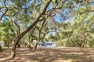 8780 Palmetto Rd, Edisto Island, SC 29438 - Photo 9