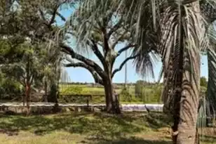 512 Palm Blvd, Isle Of Palms, SC 29451 - Photo 27