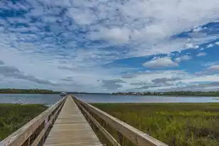 2325 Brackish Dr, Mount Pleasant, SC 29466 - Photo 55