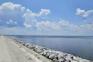 12969 SC-260, Manning, SC 29102 - Photo 47