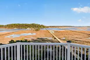 547 Little Barley Ln, Charleston, SC 29492 - Photo 41