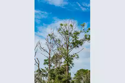 1538 Menhaden Lane, Mount Pleasant, SC 29466 - Photo 81