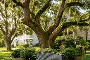 1690 Emmets Rd, Johns Island, SC 29455 - Photo 49