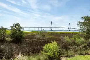 52 On the Harbor Dr, Mount Pleasant, SC 29464 - Photo 71