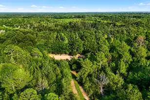 1222 Birch Dr, Summerton, SC 29148 - Photo 73