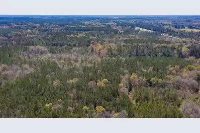 0 Two Churches Road, Harleyville, SC 29448 - Photo 19