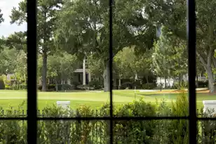 141 Ithecaw Creek St, Charleston, SC 29492 - Photo 17
