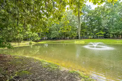 403 Elgin Court S, Charleston, SC 29414 - Photo 37