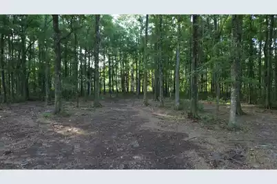 379 Fish Road Estates Lane, Cross, SC 29472 - Photo 27