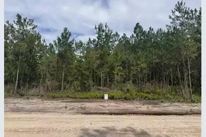 0 Walker Road #Lot 1, Ridgeville, SC 29472 - Photo 1