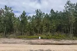 0 Walker Road #Lot 1, Ridgeville, SC 29472 - Photo 1