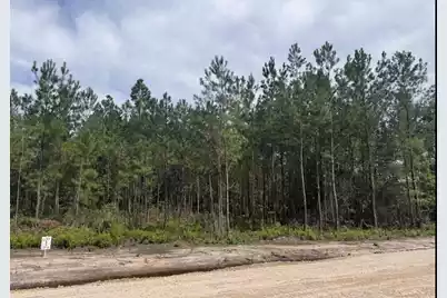 0 Walker Road #Lot 1, Ridgeville, SC 29472 - Photo 7