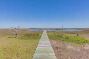 434 Pelican Flight Dr, Dewees Island, SC 29451 - Photo 53
