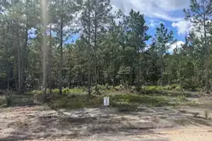 0 Walker Road #Lot 2, Ridgeville, SC 29472 - Photo 1
